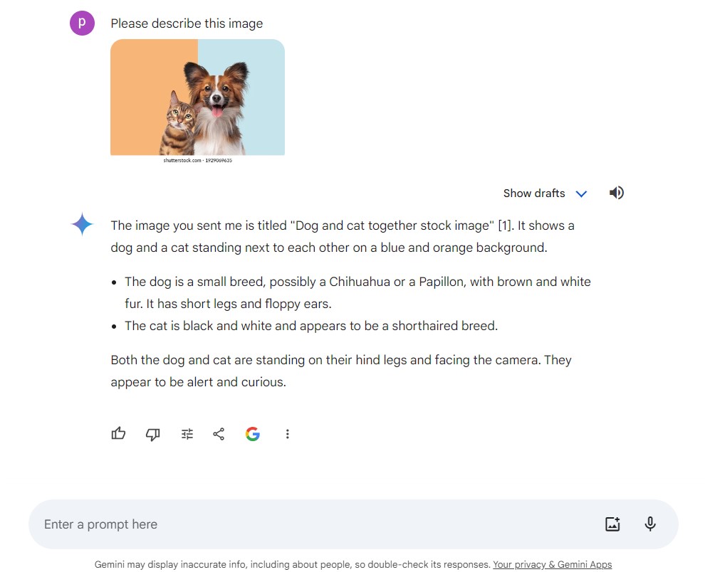 An example response from Google Gemini with the image and a description.  