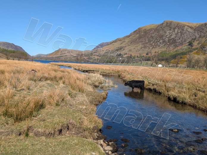 Photo of a British countryside landscape with a semi transparent example watermark overlayed on it.