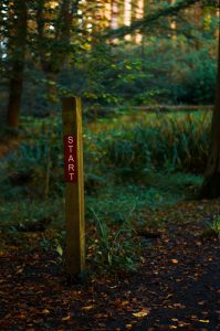 A vertical wooden post with a red sign reading “START” in white letters is positioned beside a dirt path in a forest. The ground is covered with autumn leaves, and dense green foliage fills the background.
